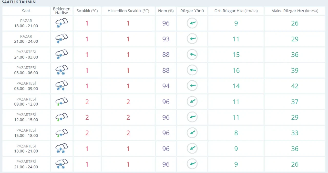 Malatya, Erzurum, Elazığ, Bursa'da yarın okullar tatil mi, var mı? 12 Ocak son dakika valilik kararları