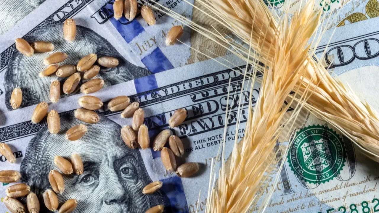 Paladyum parladı, petrol yükseldi: Emtia piyasalarında haftanın özeti