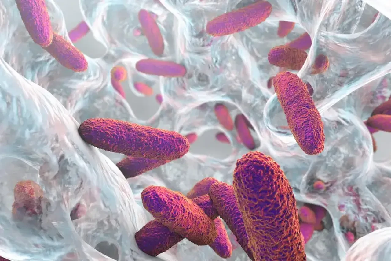 Vücudu kendi kendine alkol üretmeye başladı, kimseyi inandıramadı: Sağlığına dışkı nakliyle kavuştu