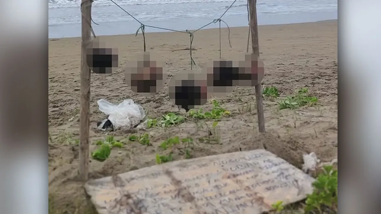 Bir tabelaya asılı 5 kesik kafa bulundu! Bir de not yazıyordu