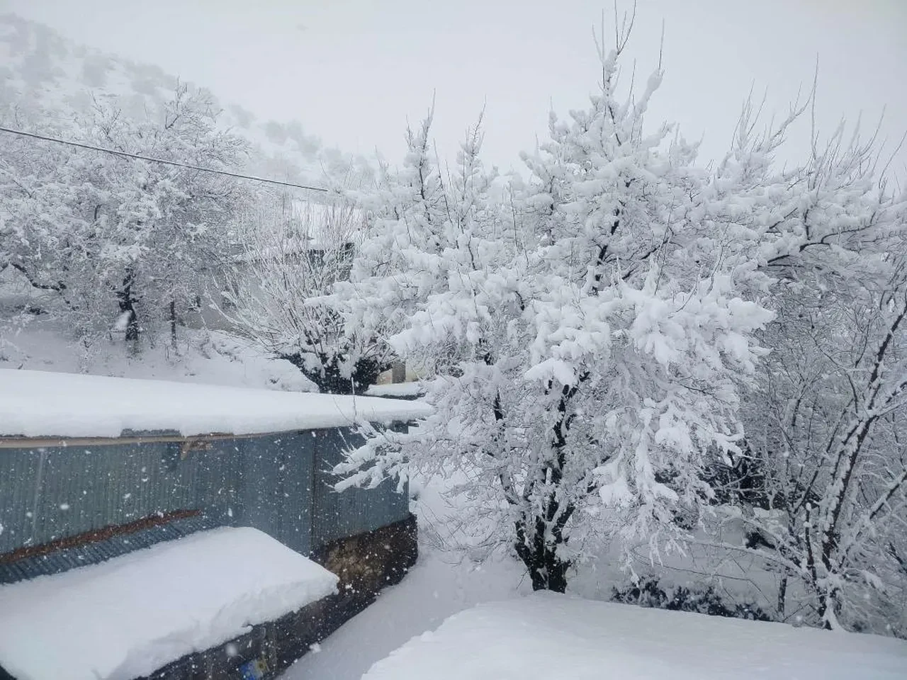 Okullar tatil edildi haberleri gelmeye başladı! İşte kar tatili olan iller