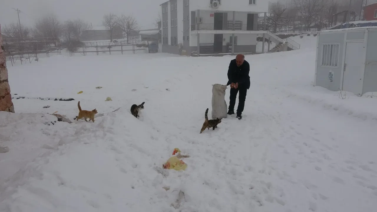 Herkes gitti, köyde sadece 4 kişi kaldı! Nedenini muhtar açıkladı 