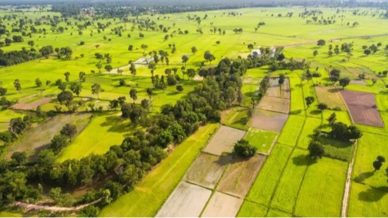 Arsanın kazandıran şehirleri! İşte 2025'in sürprizlerle dolu listesi