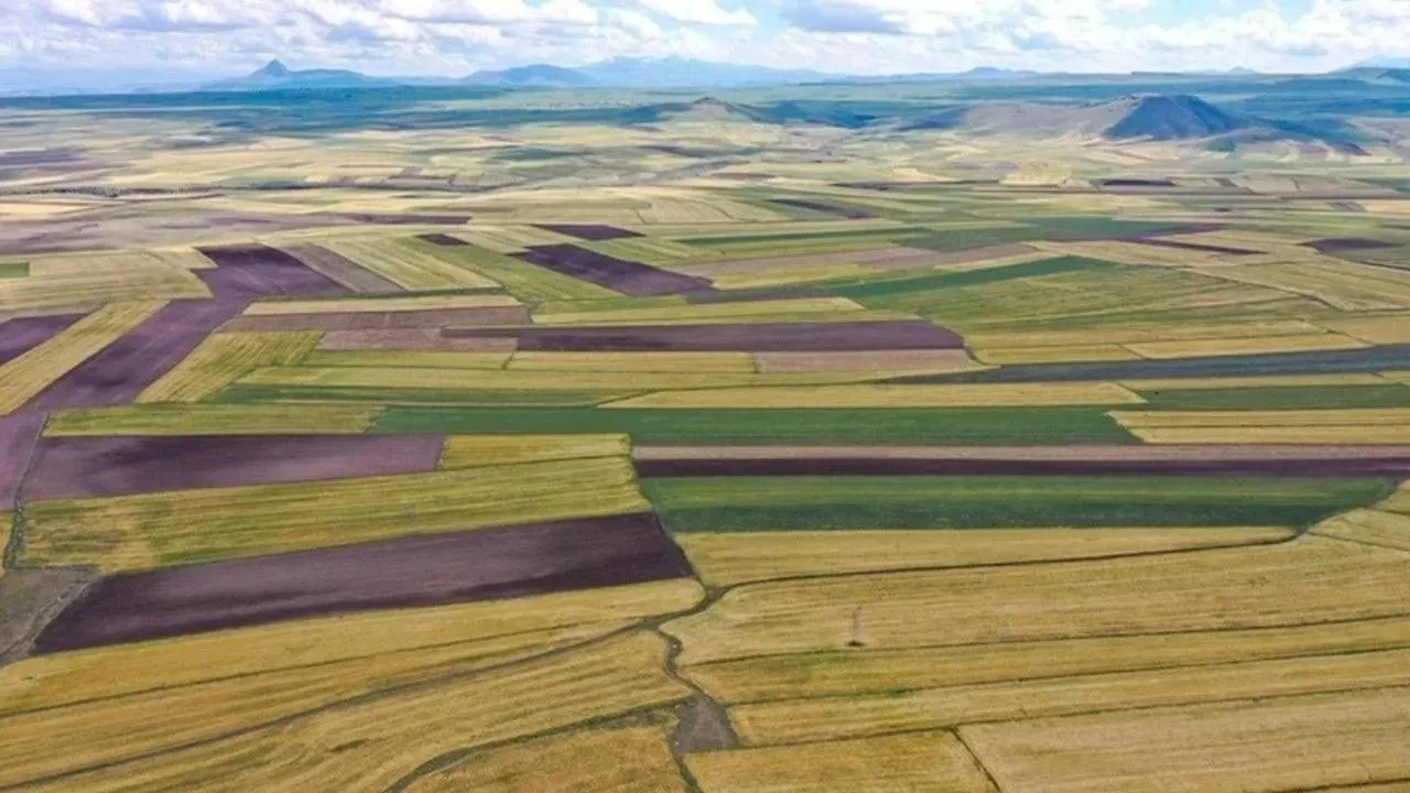 Arsanın kazandıran şehirleri! İşte 2025'in sürprizlerle dolu listesi