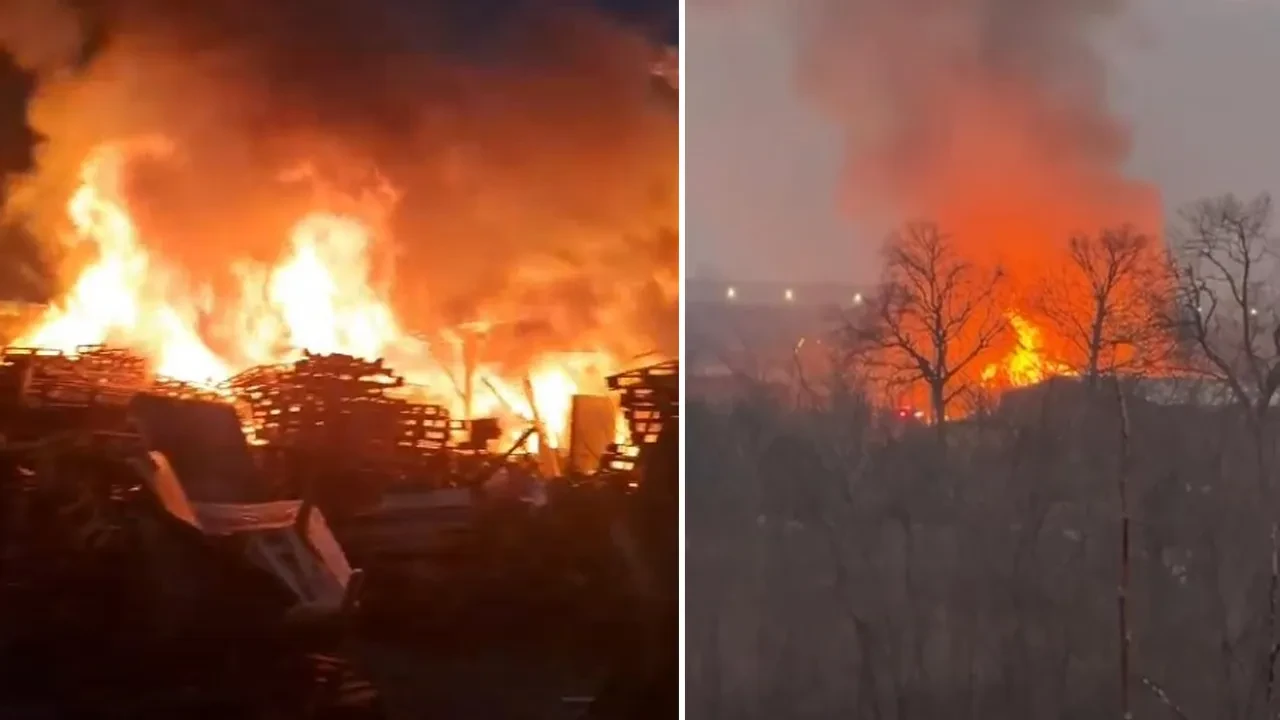 Bursa'da palet fabrikasında yangın! Ekipler sevk edildi