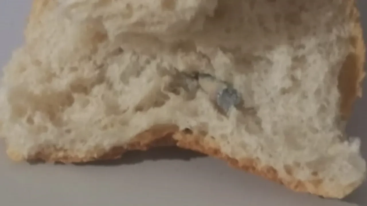Ekmeğin içinden çıkanı görünce şaşkına döndüler