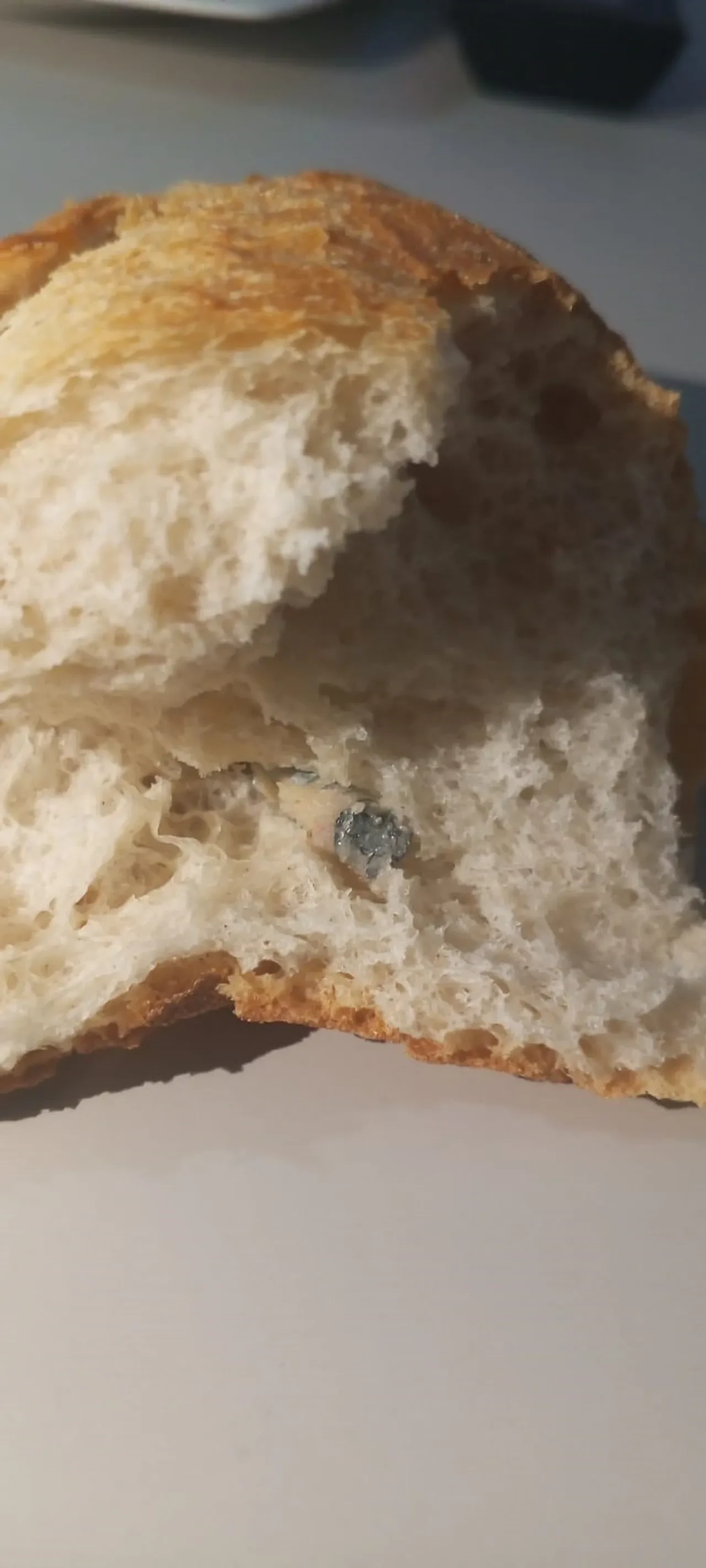 Ekmeğin içinden çıkanı görünce şaşkına döndüler