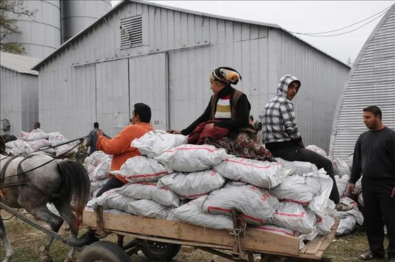 2026 kömür yardımı başvurusu nasıl yapılır?