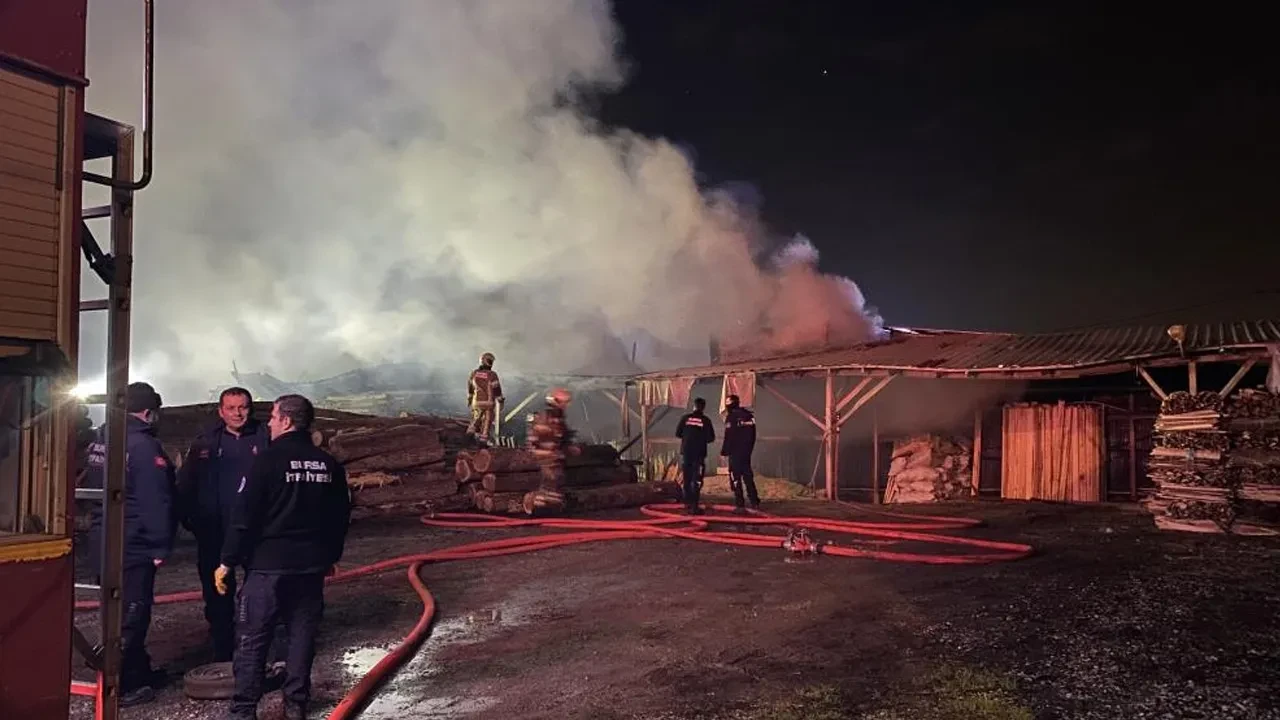 Bursa'da palet fabrikasında yangın