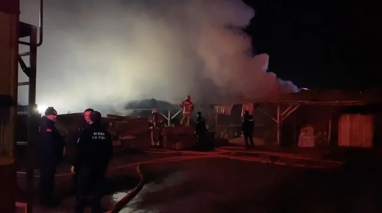Bursa'da palet fabrikasında yangın