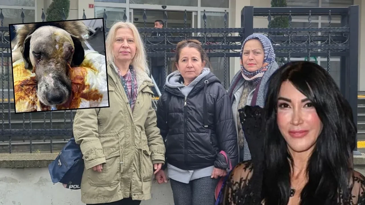 Tüfekle çenesinden vurulmuştu: Hande Yener'in sahip çıktığı köpeğin davası görüldü