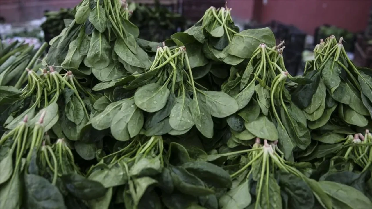 KİMLER DİKKATLİ OLMALI?