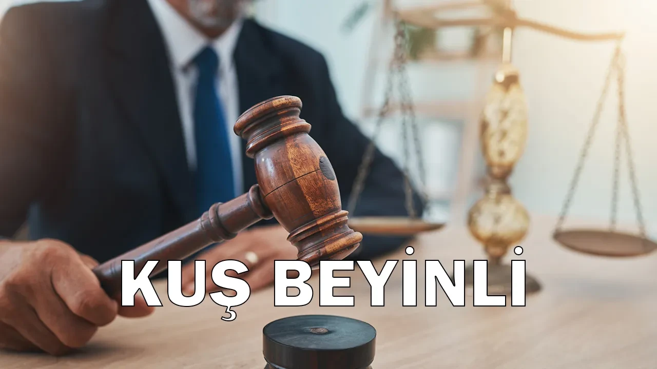 Ezberlenmesi gereken liste! İşte Yargıtay’a göre hakaret sayılmayan kelimeler