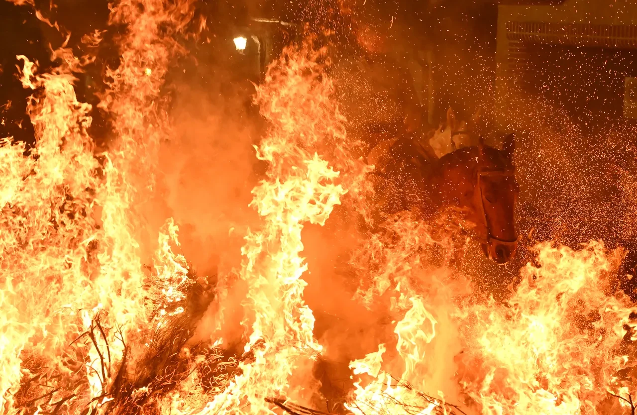 alevlerin içinden geçen at