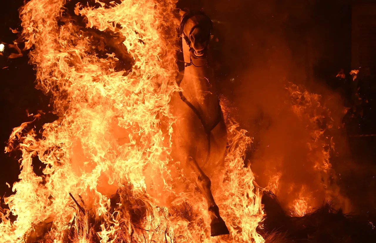 alevlerin içinden geçen at