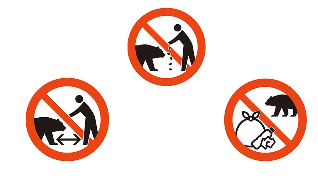 Japonya'dan ayı saldırılarına karşı ortak dil! Yeni levhalar tanıtıldı