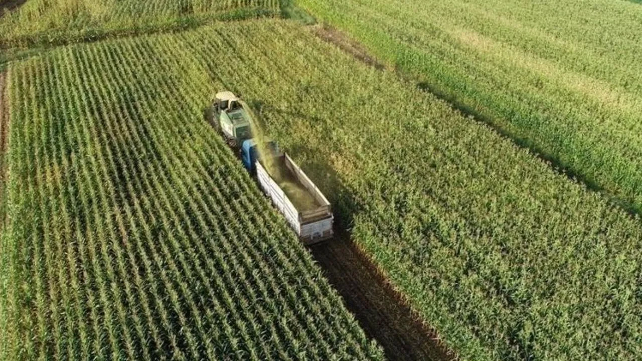 Çiftçi destek ödemeleri hesaplara yattı mı nereden nasıl öğrenilir?