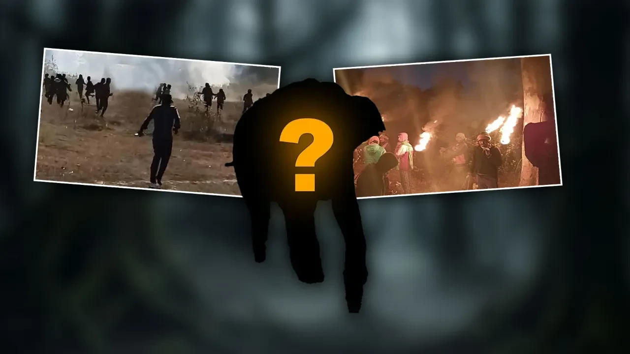 Çok sayıda kişiyi katleden gizemli canavar hala serbest! Halk korkusundan çatılarda uyuyor