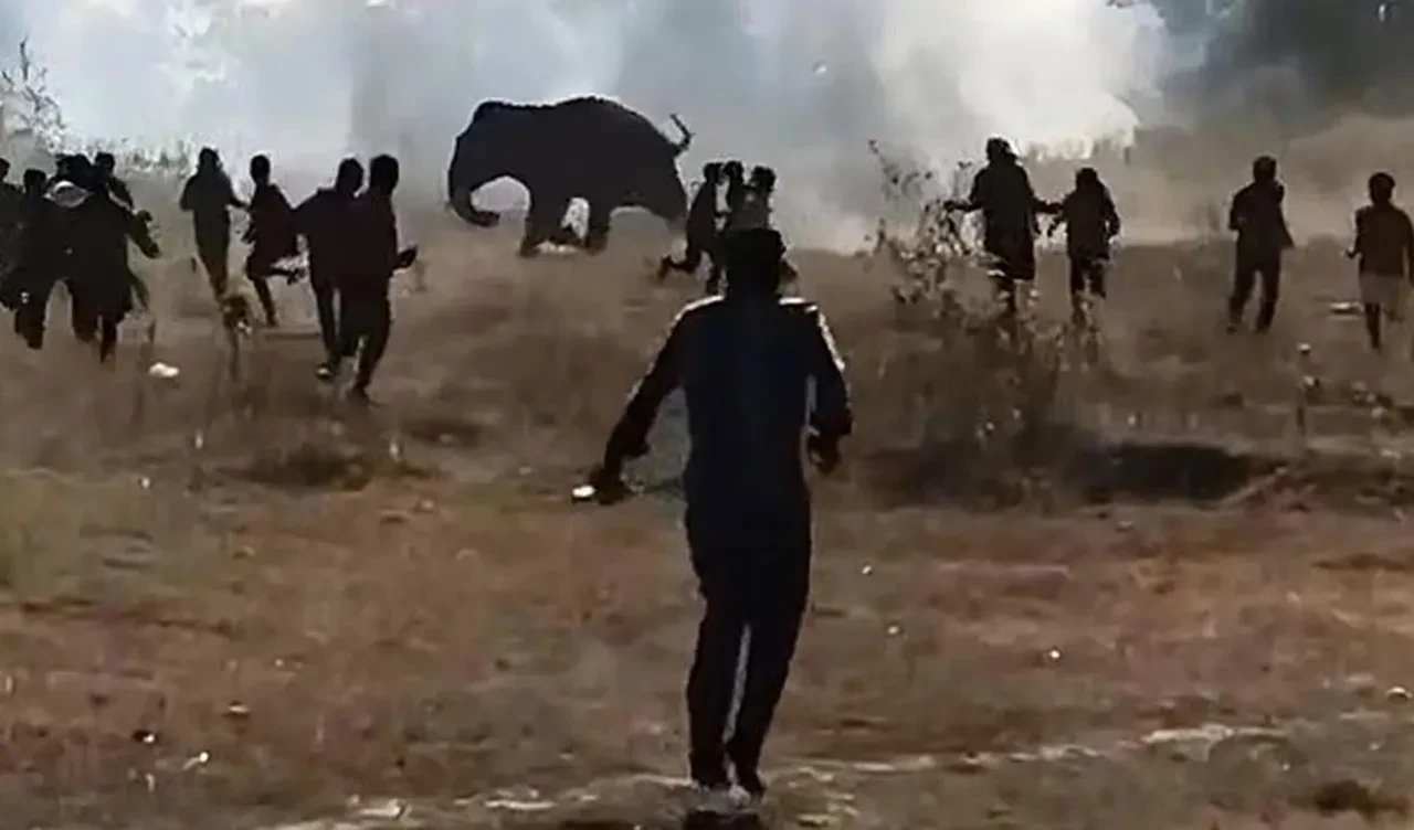 Çok sayıda kişiyi katleden gizemli canavar hala serbest! Halk korkusundan çatılarda uyuyor