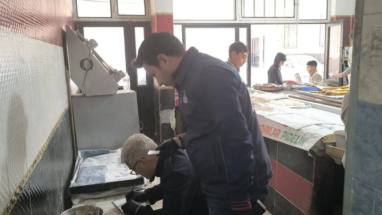 Fırında mide bulandıran görüntü! Kedi, tezgahın üzerinde fareyle oynadı