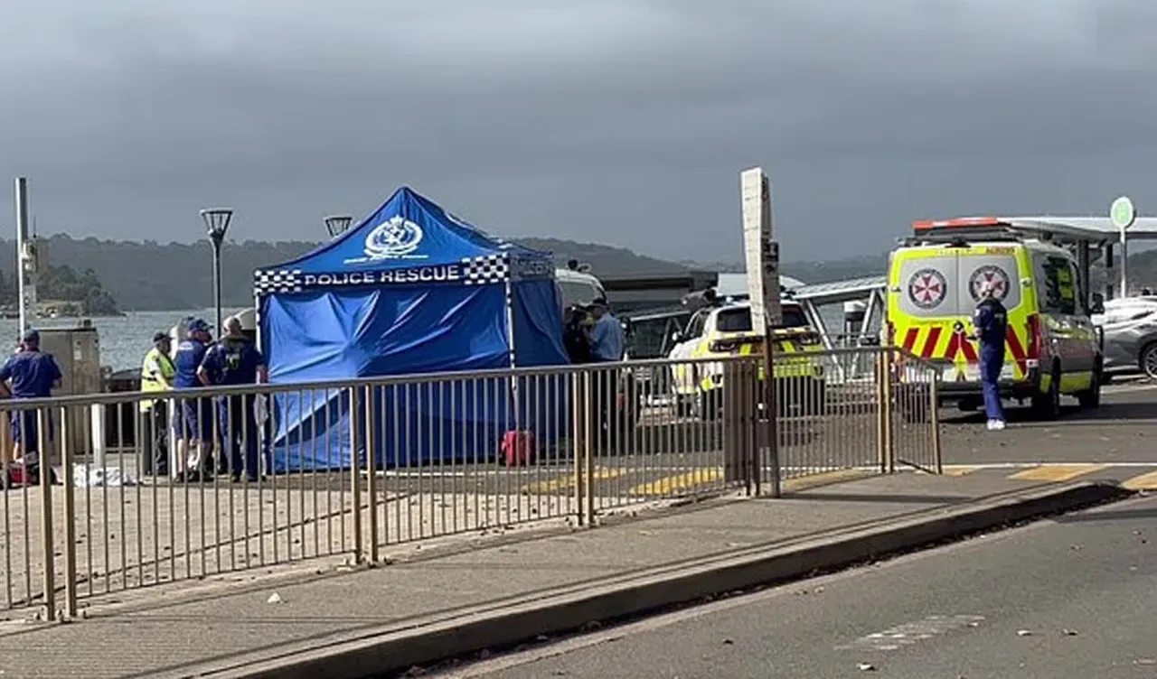 Kayalıklardan atlarken köpek balığının vahşi saldırısına uğradı! 