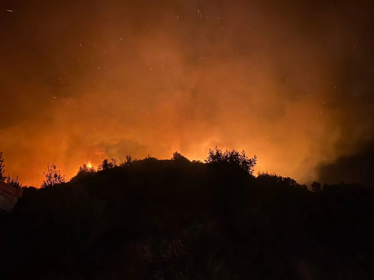 Antalya’da orman yangını paniği! Bazı evler tahliye edildi