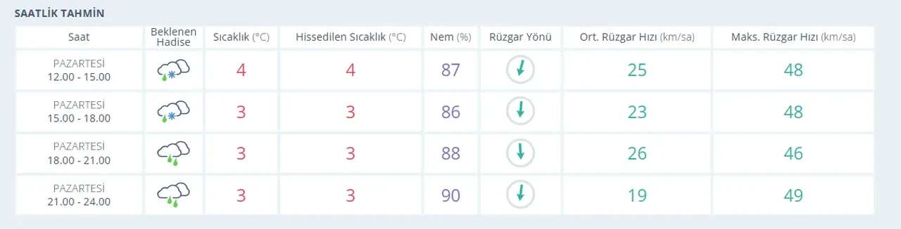 Beşiktaş Kayserispor maçı iptal olacak mı, ertelencek mi? İstanbul'da kar yağışının ardından gündeme geldi