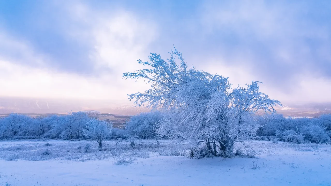 Dünyanın en soğuk başkentleri listelendi! Zirvedeki şehirdekiler -40’ta hayatta kalmaya çalışıyor