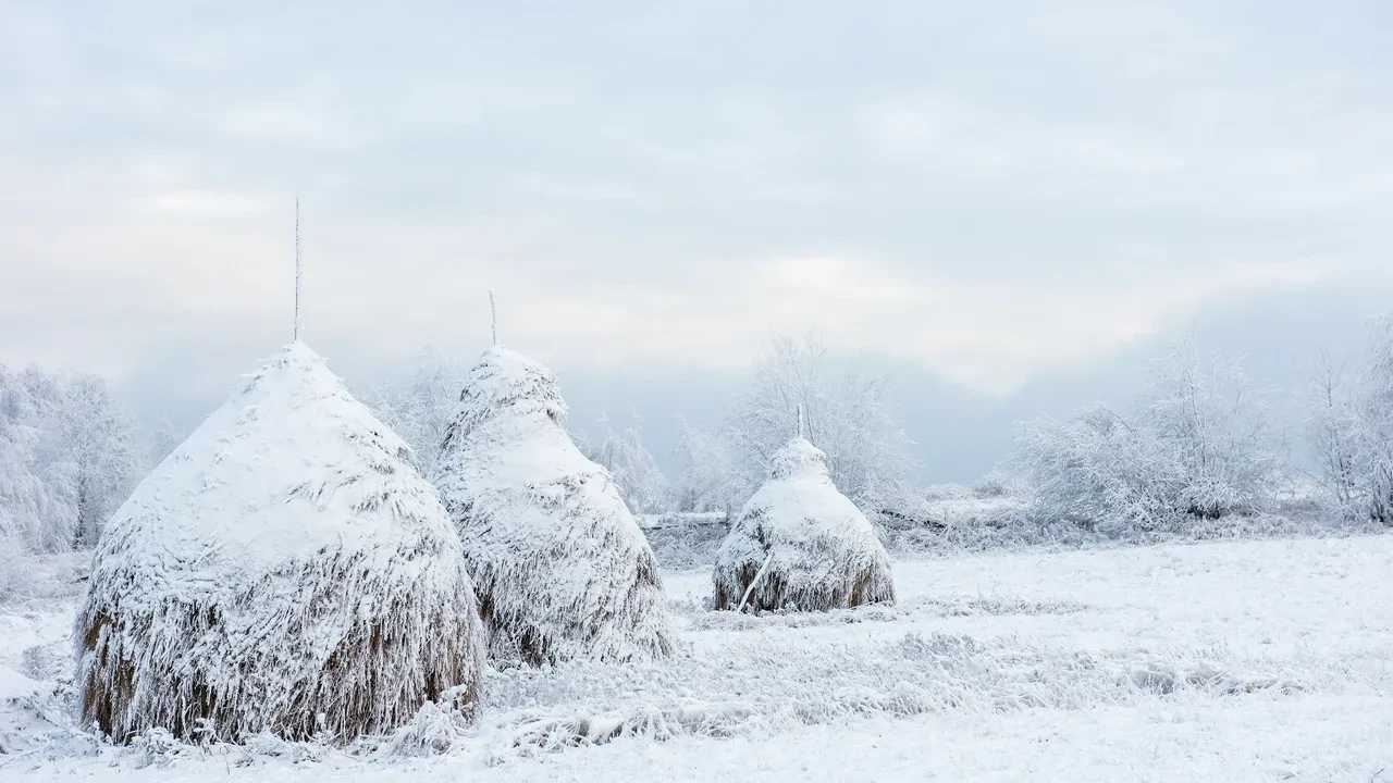 Dünyanın en soğuk başkentleri listelendi! Zirvedeki şehirdekiler -40’ta hayatta kalmaya çalışıyor