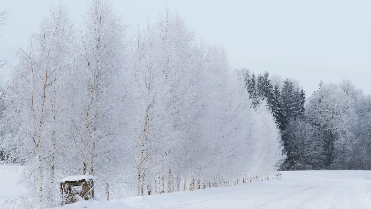 Dünyanın en soğuk başkentleri listelendi! Zirvedeki şehirdekiler -40’ta hayatta kalmaya çalışıyor