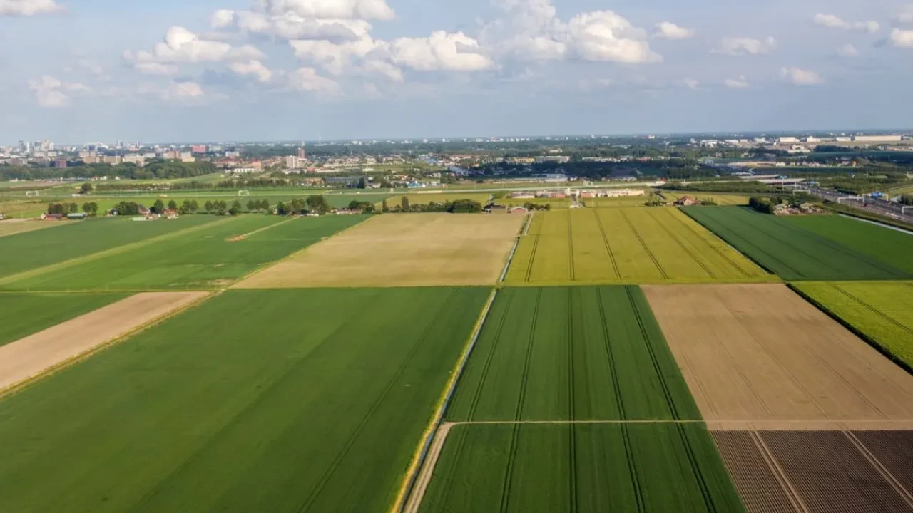 TOKİ 29 İlde 244 arsa satışı başladı mı açık artırma ne zaman?