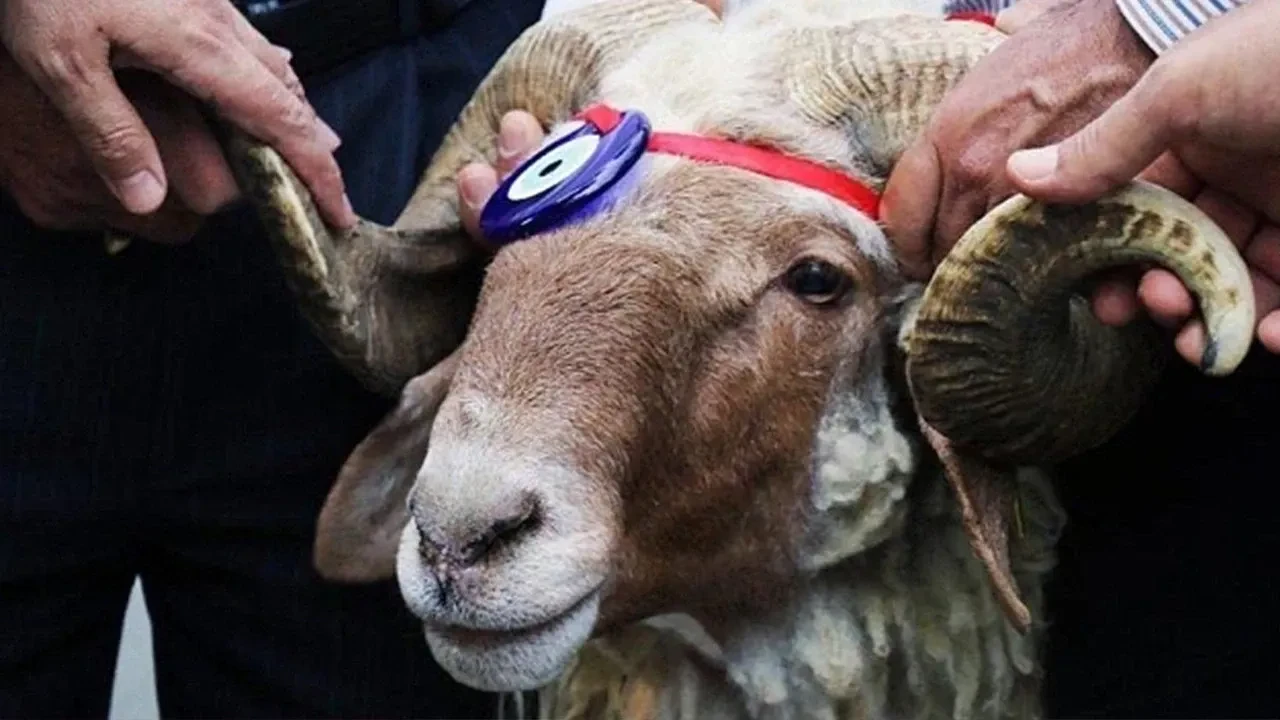 2026 Kurban Bayramı ne zaman hangi güne denk geliyor?