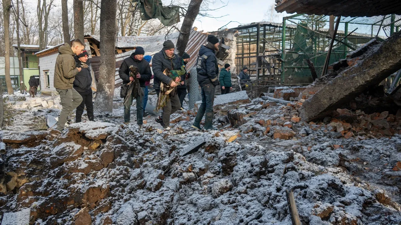 Putin nereye saldıracağını şaşırdı! Ukrayna'daki hayvanat bahçesi hedef alındı