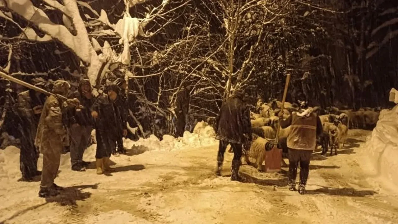 Giresun'da abi kardeş çığ altında kaldı: 1 kişi can verdi