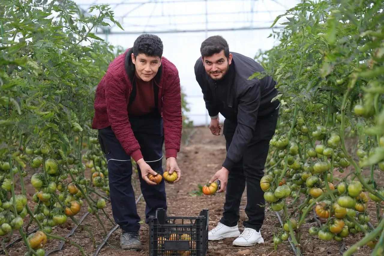 Şehirde asgari ücret yerine köyde kendi işlerini kurdular! 'Sezonda 300-400 bin TL getirisi oluyor'