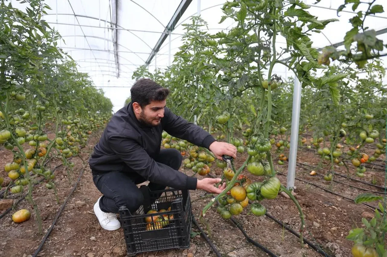 Şehirde asgari ücret yerine köyde kendi işlerini kurdular! 'Sezonda 300-400 bin TL getirisi oluyor'