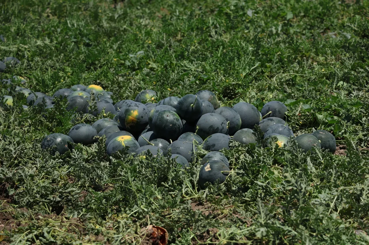 Tarım ve Orman Bakanlığı