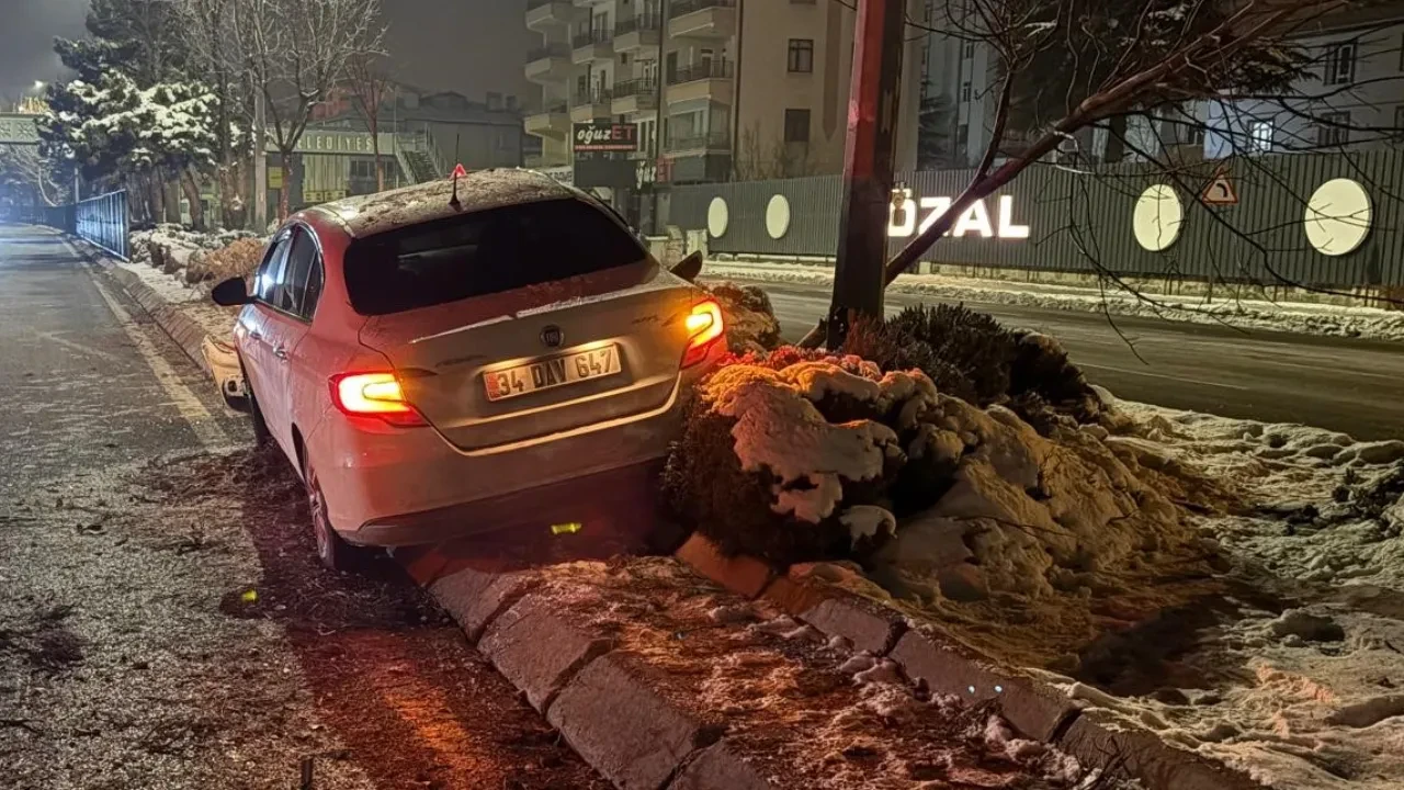 Ağacı devirdi, aydınlatma direğine çarptı! Alkollü sürücü ortalığı birbirine kattı