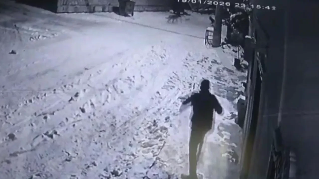 Bahçesine giren kurtları çaydanlıktaki sıcak suyla kovaladı