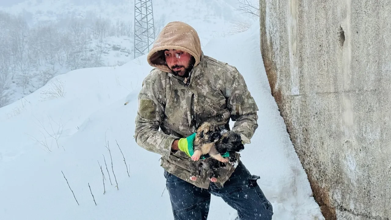 Köpek yavruları donmak üzereyken kurtarıldı