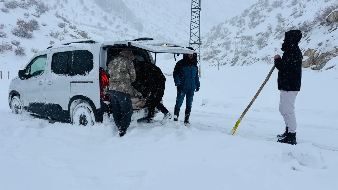 Köpek yavruları donmak üzereyken kurtarıldı
