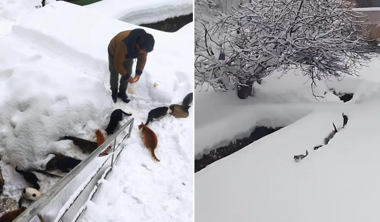 Memleketimden insan manzaraları ve bayrak