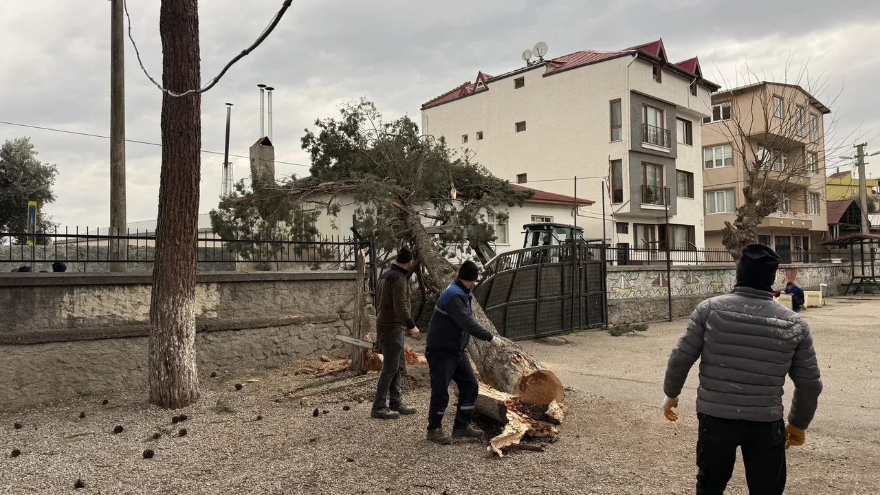 Öğrencilerin tatilde olması faciayı önledi! Okul bahçesine düştü