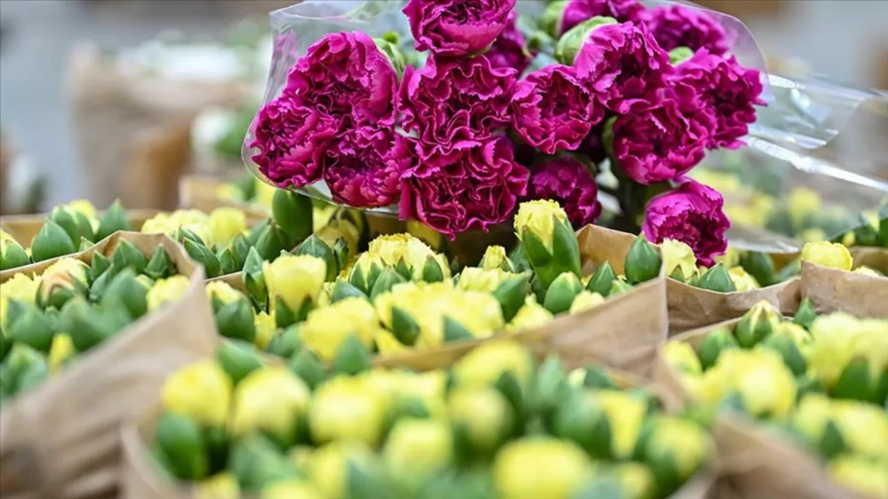 Salon bitkileriniz kış uykusunda mı yoksa ölüyor mu? Yaprakları küsen çiçeği canlandıran 'Muz Kabuğu' suyu