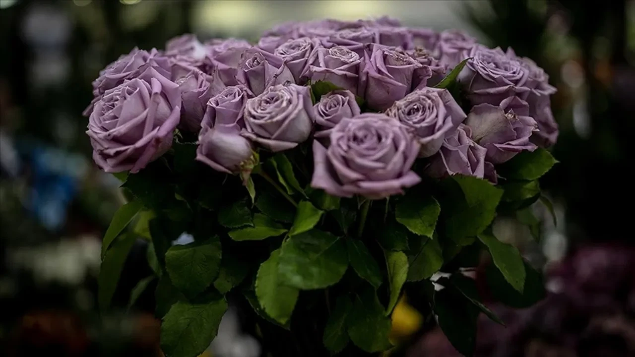 Salon bitkileriniz kış uykusunda mı yoksa ölüyor mu? Yaprakları küsen çiçeği canlandıran 'Muz Kabuğu' suyu