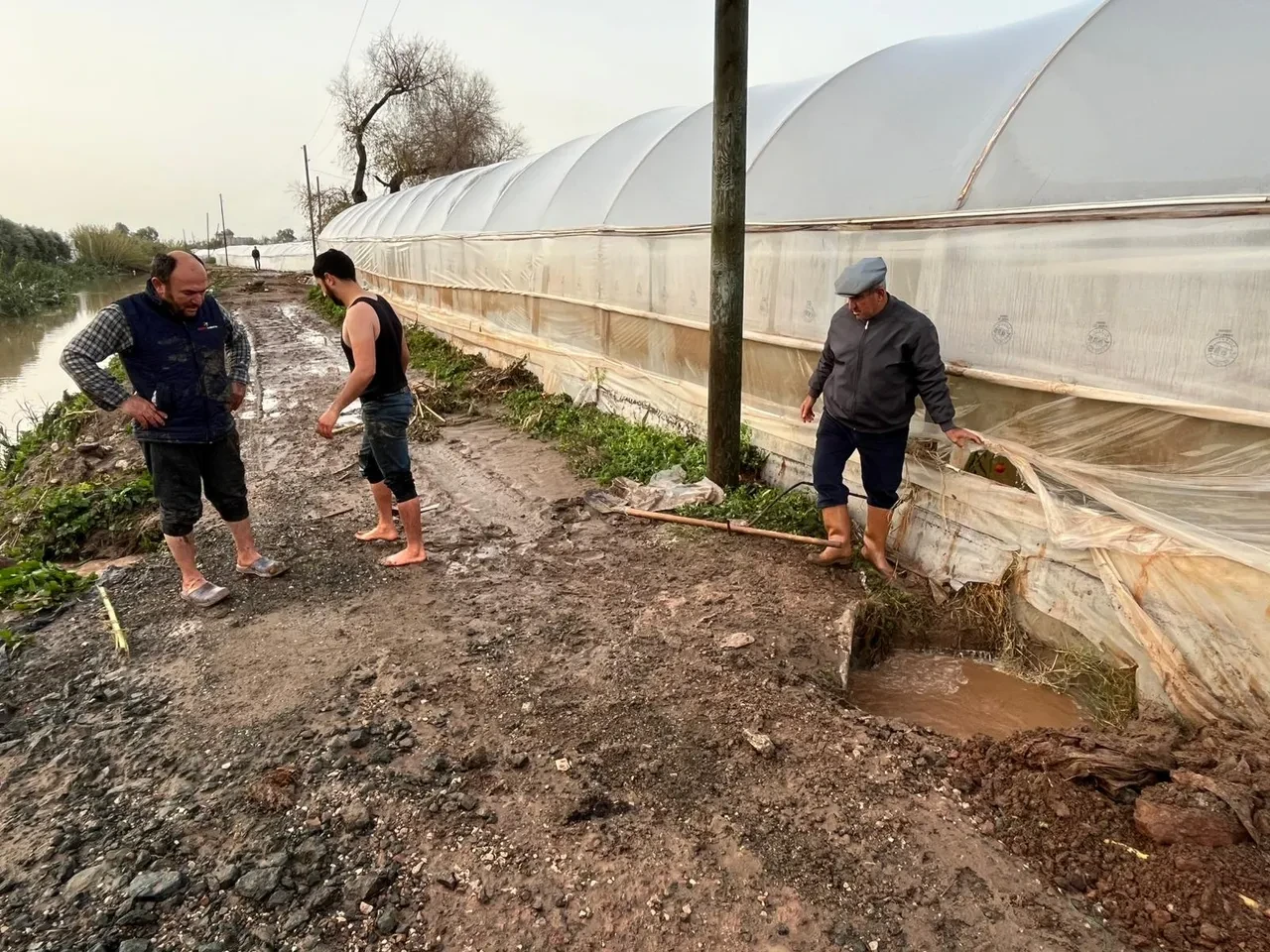 Antalya'yı sağanak vurdu! Evler, dükkanlar, tarlalar sular altında kaldı, hayvanlar can verdi