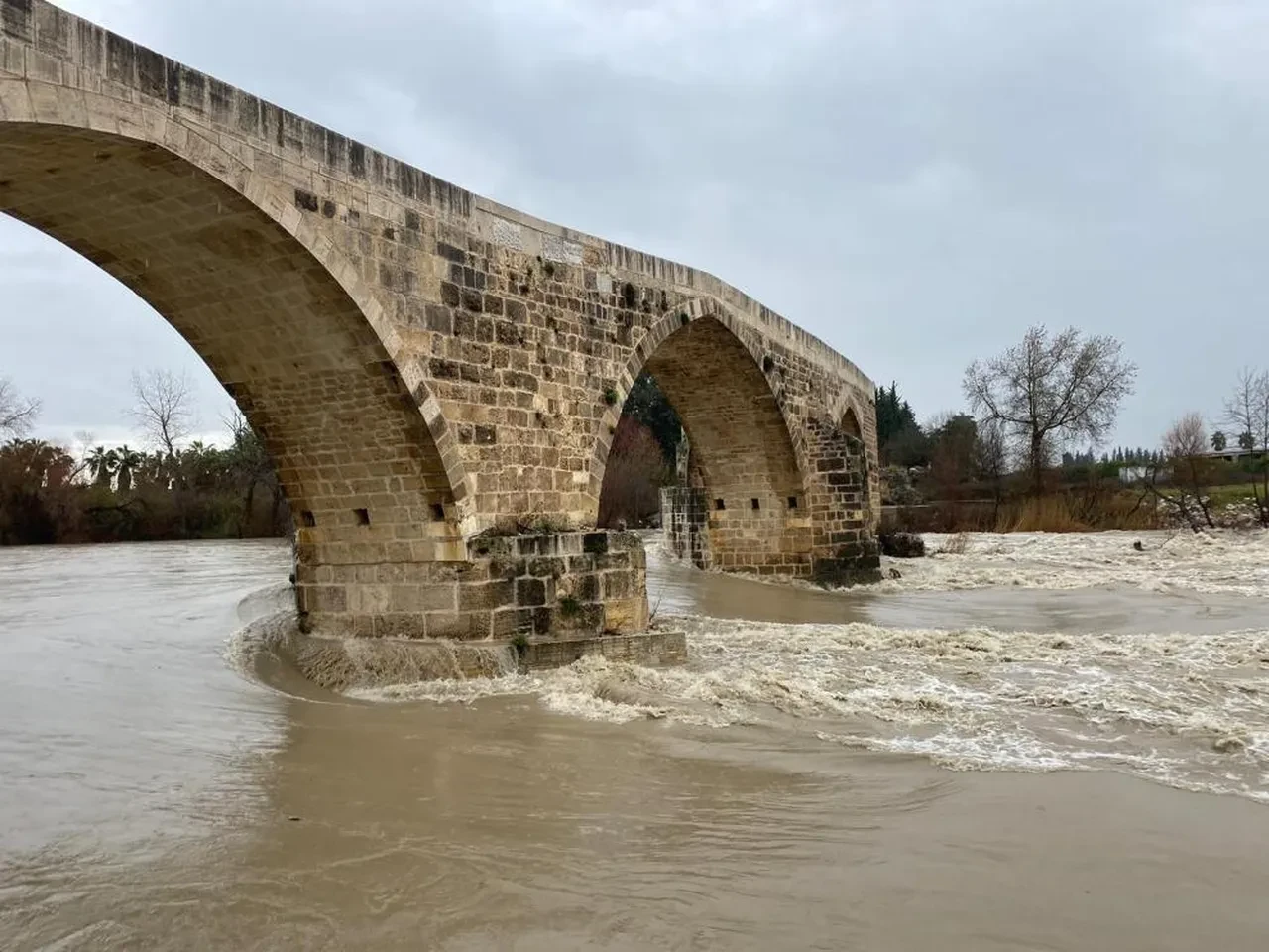 Antalya'yı sağanak vurdu! Evler, dükkanlar, tarlalar sular altında kaldı, hayvanlar can verdi