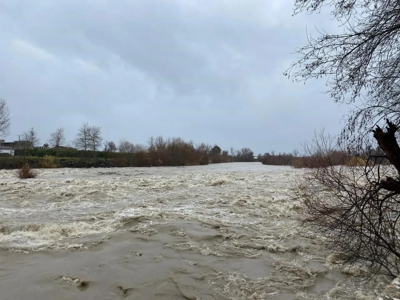 Antalya'yı sağanak vurdu! Evler, dükkanlar, tarlalar sular altında kaldı, hayvanlar can verdi