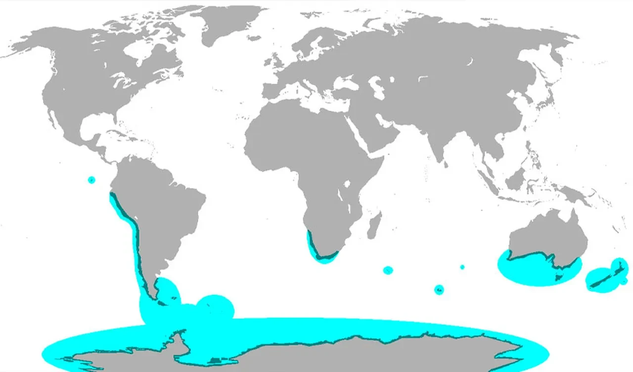 Beyaz Saray kaş yapayım derken göz çıkardı! Penguenli Grönland mesajı alay konusu oldu