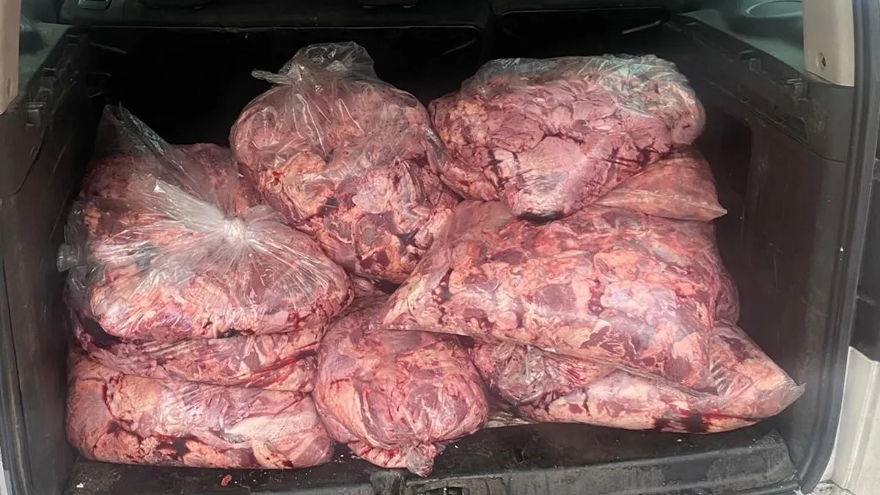 Mide bulandıran anlar! Durdurulan araçta 450 kilo bozulmuş et çıktı